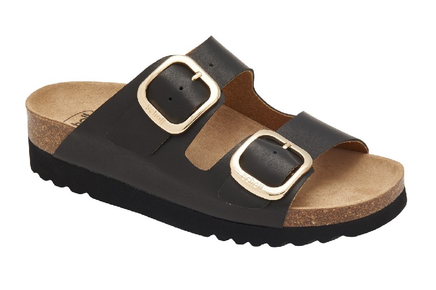 SCHOLL